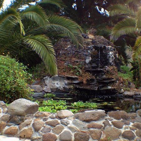 Jardin De Aridane Hotell El Paso Eksteriør bilde