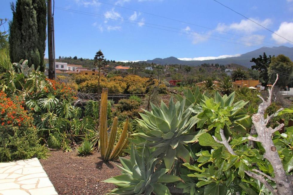 Jardin De Aridane Hotell El Paso Eksteriør bilde